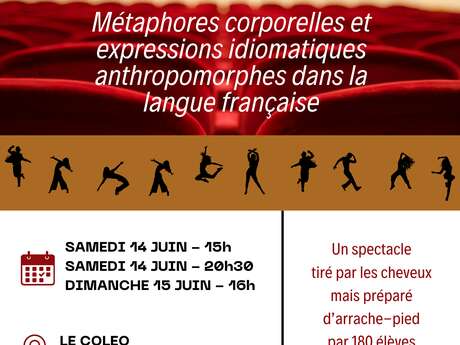 Manifestations corporelles et expressions idiomatiques anthropomorphes dans la langue française