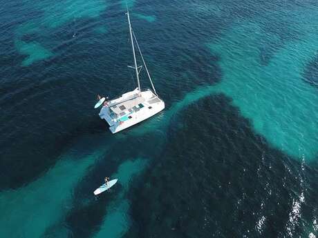 Catamaran trip with an eco-guard to discover the flora and fauna