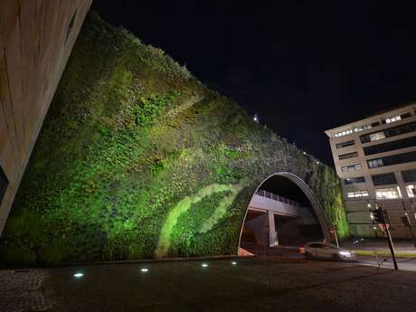 Le mur végétal