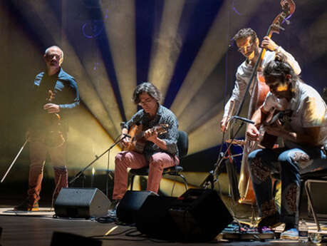 Minor Sing : Éléphant