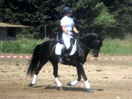 Stage d'équitation aux Murettes