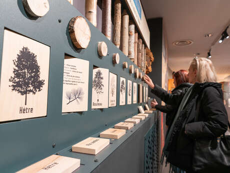 Maison du Bois et de la Forêt