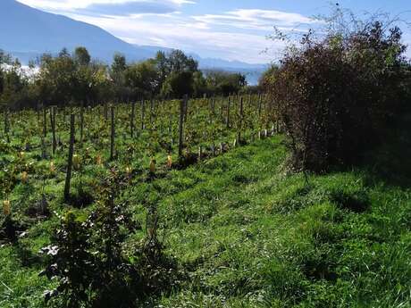 Les Pieds dans le Local®, spécial producteurs ! Visite d'exploitation : Les Mangeux d'Pierre