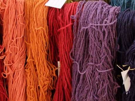 Atelier et rando-conférence sur la teinture naturelle