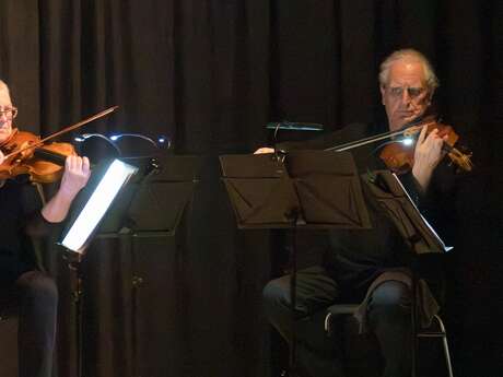 Festival Théâtre dans les remparts "Donne moi la main, Schubert !"