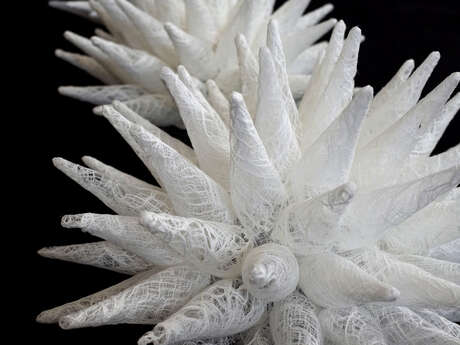 Exposition : Regards croisés