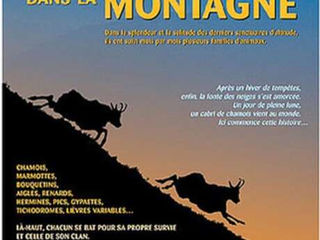 Projection de film : "Trois cents jours dans la montagne"