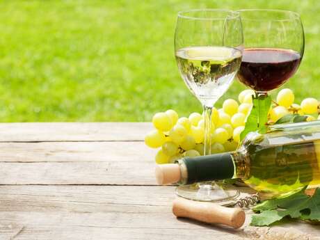 Grande dégustation des vins des terroirs cévenols