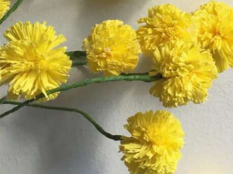 ‘Make your own mimosa’ workshop with Mélanie