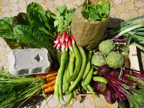Les jardins ratatouille