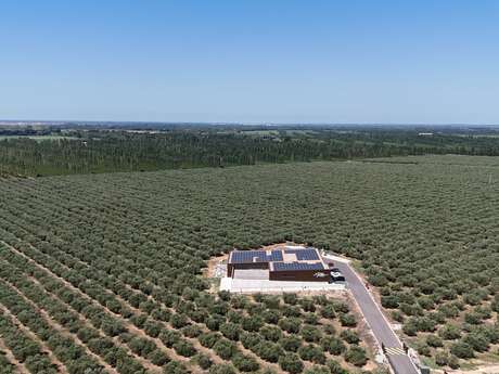 Moulin à huile Maison Leydier