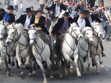 Bulls in the streets - Easter Feria