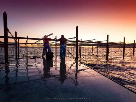 Les Perles de Tamaris