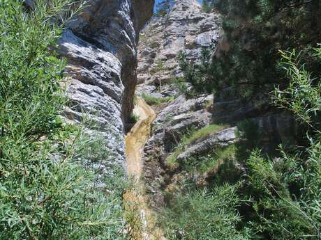 Gorges de l'Aup