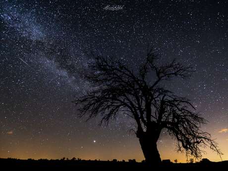 Les Rendez-vous du Parc : Des étoiles dans l'objectif