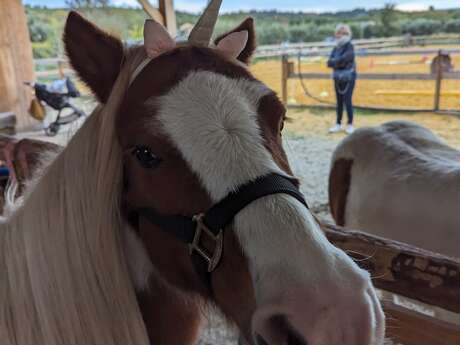 Rando à cheval avec les Sabots du Limon