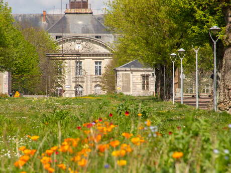 Le Printemps de l'Architecture : L'ancien hôpital de la Marine, vers une renaissance