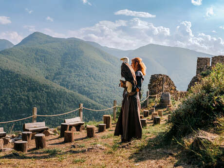 Spectacles de fauconnerie