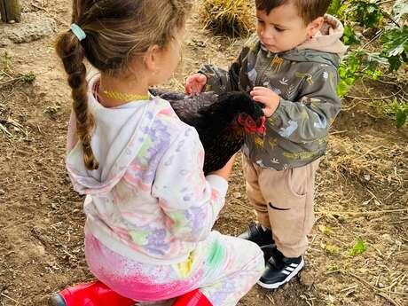 Visite de la ferme de Chateau Robert