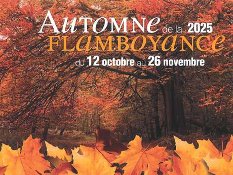 Automne de la Flamboyance "Thé dansant" Automne de la Flamboyance "Thé dansant"