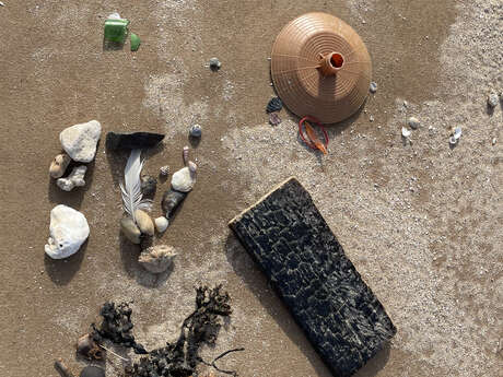 Instant Familie:  Leine de Mer Biodiversitätsuntersuchung