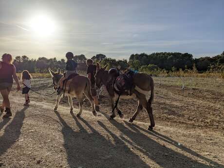 Tis'Ânes en Luberon