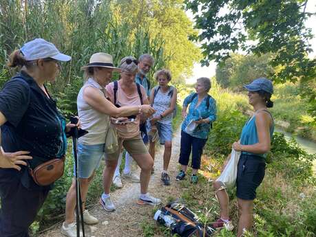 À la rencontre des paysages vauclusiens à Lagnes