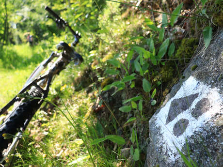 Circuit VTT : Les balcons du Rhône