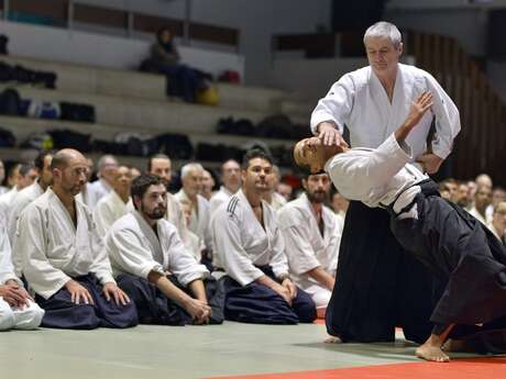 Stage aïkido traditionnel | Bourg-en-Bresse 01 | Alain Peyrache Sensei