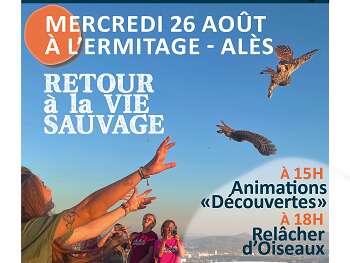 Les rencontres de l'environnement - Retour à la vie sauvage