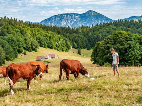 Le Creux de Lachat en boucle par le col de la Cochette