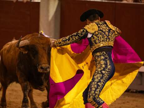 Feria - Grande Corrida