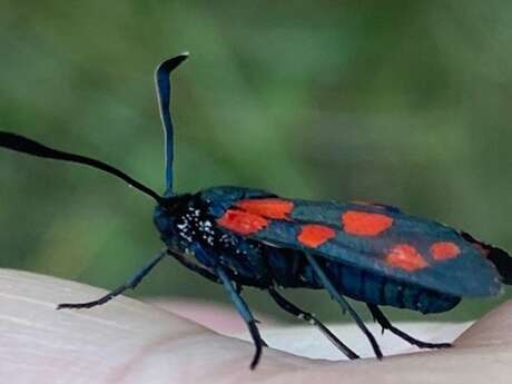 Ventoux Nature&Terroir