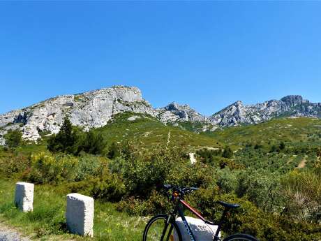 MOURIÈS - Alpilles-Roquemartine à vélo : la variante de Mouriès