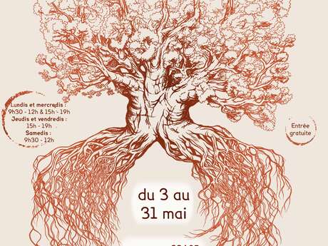 Exposition Arbre(s) entre légendes et sciences