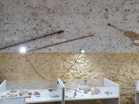 Journées européennes de l'archéologie