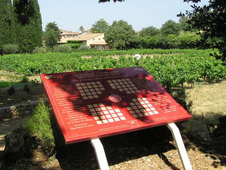 Conservatoire des cépages de la Maison des Vins Coteaux Varois en Provence