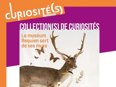 Cabinet de curiosités
