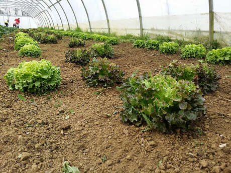 Organic Gardens of the Pays de l'Ain