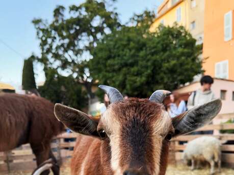 Petite ferme de Noël Petite ferme de Noël