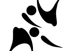 La nuit des arts martiaux et des sports de combat