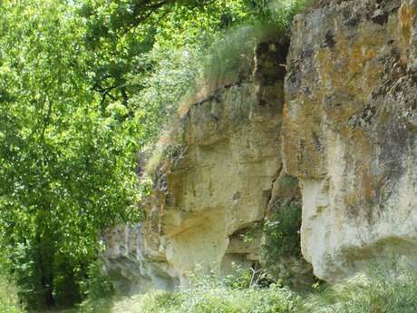 Animation Natura 2000 biodiversité des zones humides