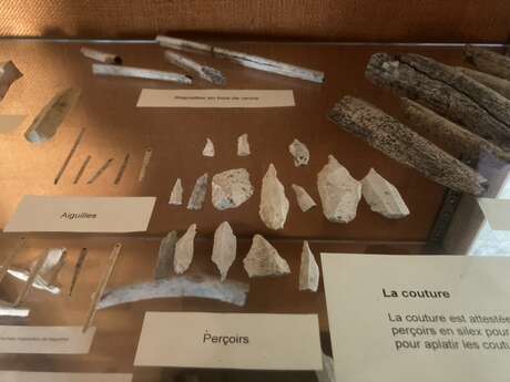 Journées de la Science: visites des collections de Préhistoire