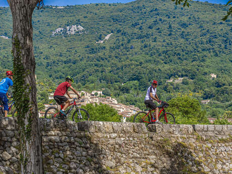 Circuit vélo : N°3 - Seillans