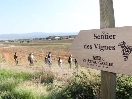 "Sentier des vignes" : Découverte de la biodiversité sur le domaine viticole Château Gassier