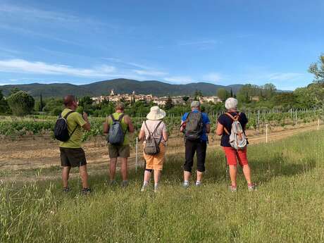 LOURMARIN- CADENET - D'un château à l'autre