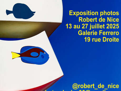 Nice et la mer - Exposition Robert de Nice