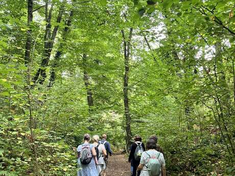 les Rando patrimoine : Histoire du volcanisme et de la pierre de Volvic