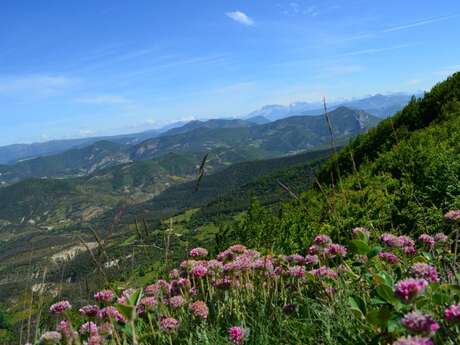 SERRES - Sur le GRP® Tour des Baronnies provençales, variante haut-alpine en 8 jours