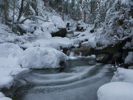 Boucle du Pont des Nants - sentier raquettes